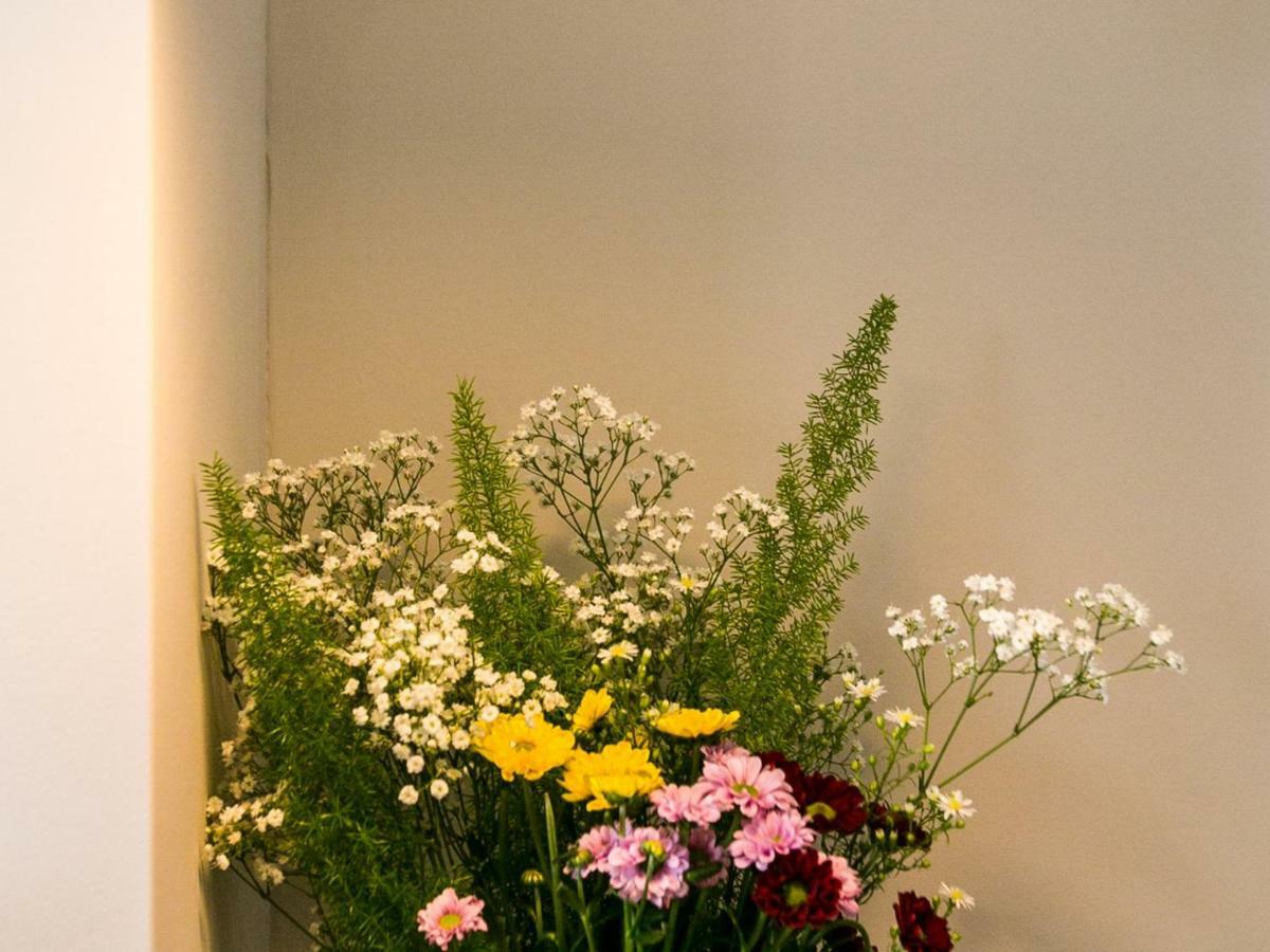 Exquisite 3Bdr Botanical Oasis In Central برايتون المظهر الخارجي الصورة